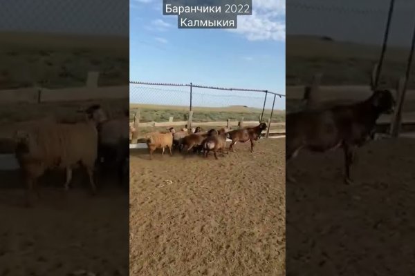 Как вывести деньги с кракена тор