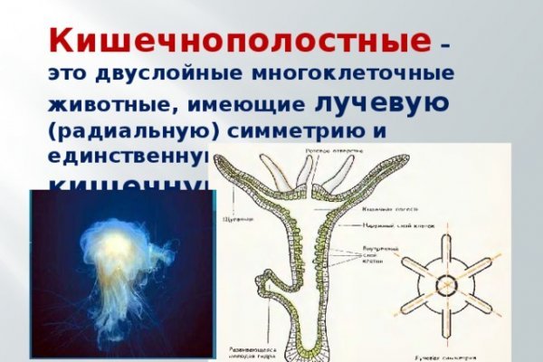 Вход на кракен