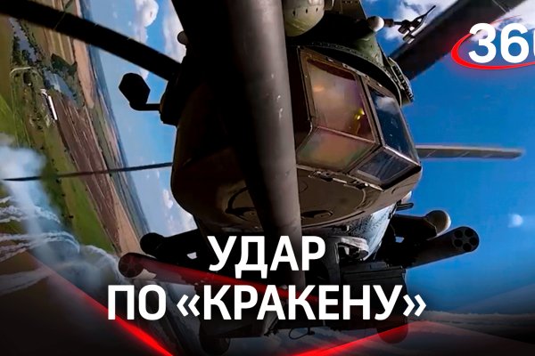 Какая ссылка у кракена