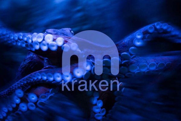 Kraken darknet tor vtor run