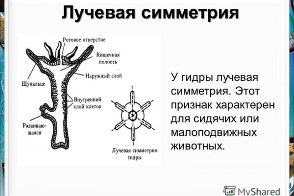 Сайт кракен магазин kraken2 tor2 xyz