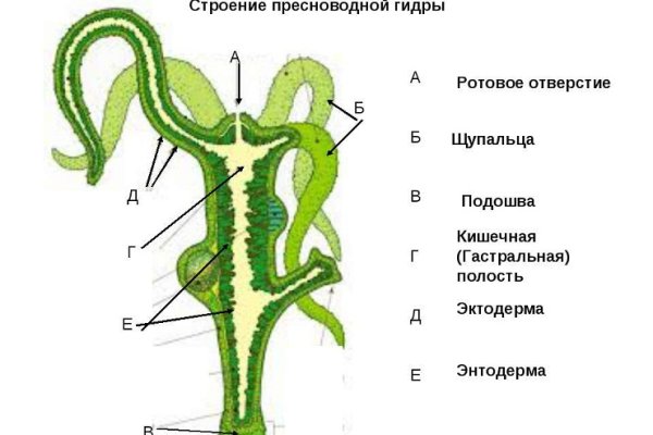 Кракен зеркало рабочее onion