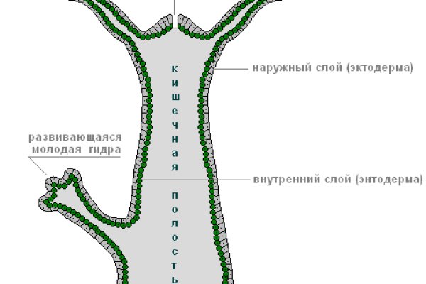 Kraken маркетплейс kraken 11